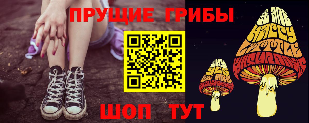 купить  цена  Псилоцибиновые грибы мицелий  Вход с VPN  Будённовск  Галлюциногенные грибы GOLDEN TEACHER 