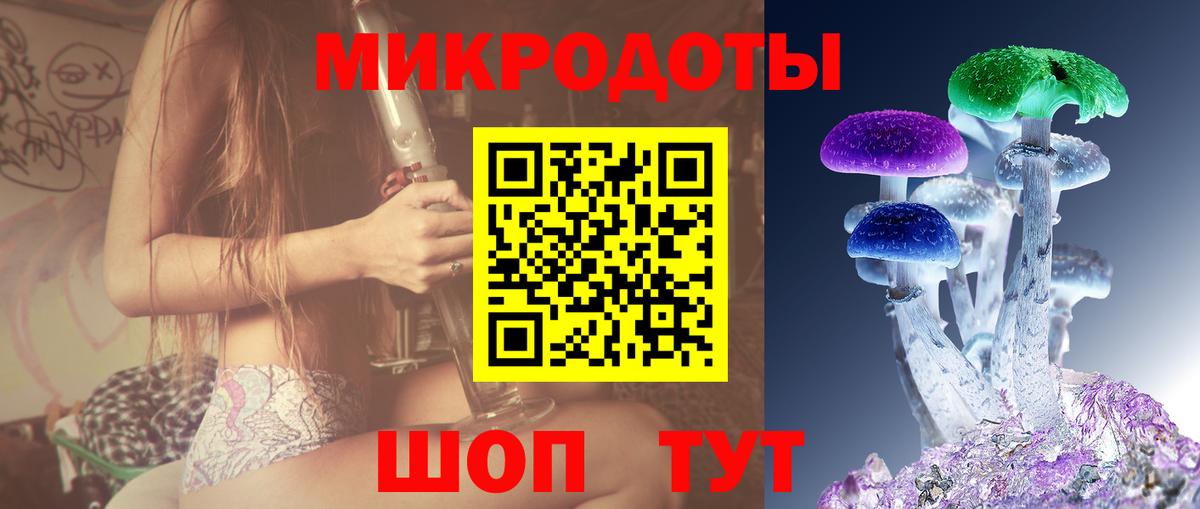 Псилоцибиновые грибы Psilocybine cubensis Будённовск