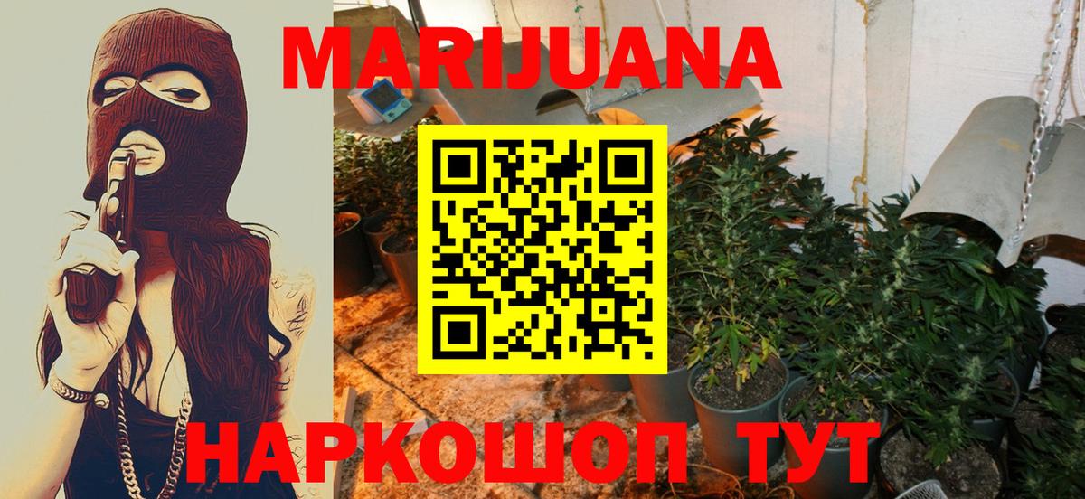 Канабис Bruce Banner Будённовск
